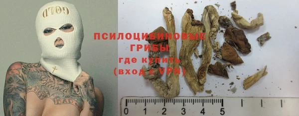 гашик Абдулино