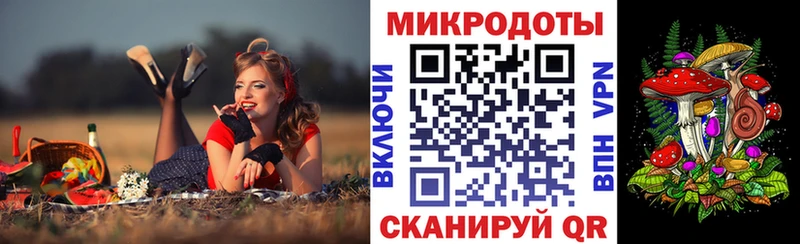 Галлюциногенные грибы прущие грибы  Костомукша 
