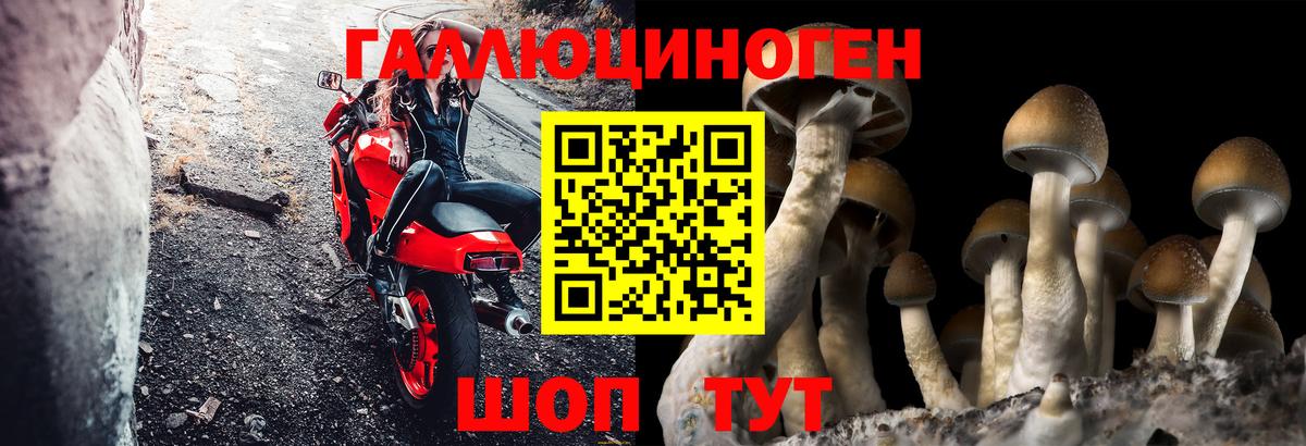 Псилоцибиновые грибы ЛСД  наркошоп  Костомукша  Вход с VPN 