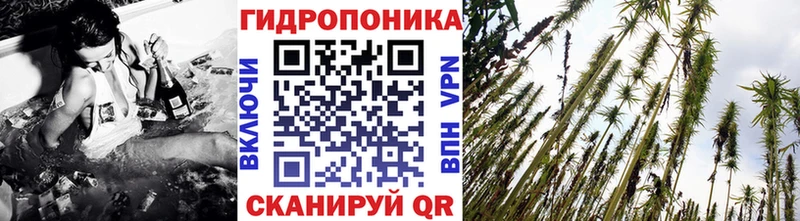Бошки марихуана планчик  Костомукша 
